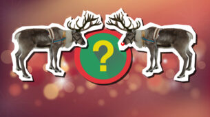 Quiz: Which Reindeer are You?