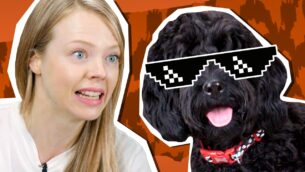 Animals Behaving Badly | UNTAMED