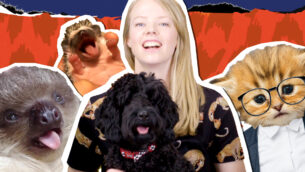 Adorable Animals | UNTAMED