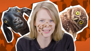 World’s Weirdest Creatures | UNTAMED