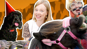 Animals Caught on Camera | UNTAMED