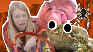 UNTAMED Scary Animal Special!