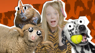 Funny Animal Fails! | UNTAMED