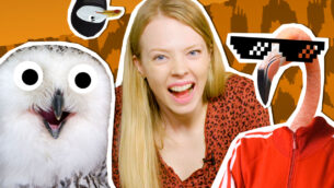 Bird Is the Word! | UNTAMED