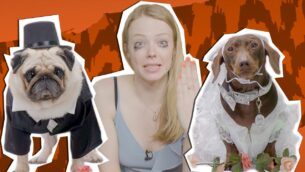 Superstar Animals! | UNTAMED