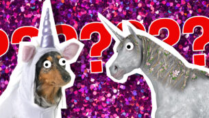 What Unicorn Matches Your Personality?