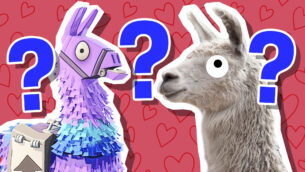 Does Your Llama Love You?