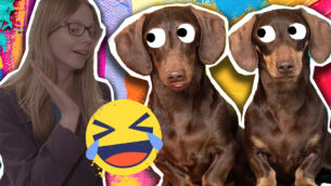 Roving Reporter - Dog Artists!