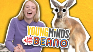 Independent Kangaroos!