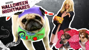 Family Halloween Costume Ideas!