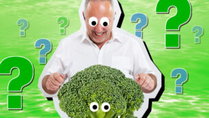 Play the Should I Go Vegan? Quiz