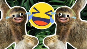 Sloth Jokes