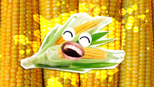 60 Corn Jokes That'll Give You A Shuckle!