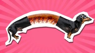 Dachshund Jokes