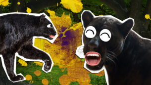 20 Paw-some Panther Jokes!