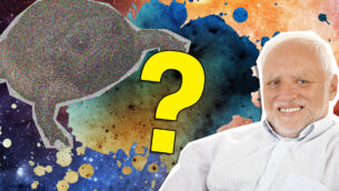 Which Meme Are You Quiz?