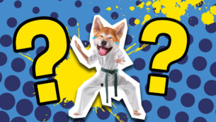 Karate Kid: Legends Trivia Quiz