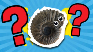 What Extinct Animal Am I Quiz?