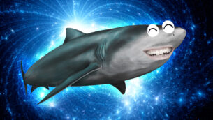 15 Interesting Facts About Bull Sharks