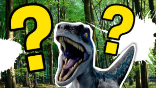 Jurassic Park: Camp Cretaceous Trivia Quiz