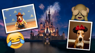 Dogs Dressed as Disney Characters!
