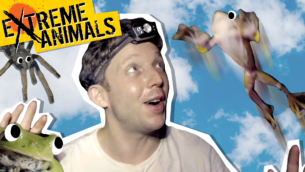 Extreme Animals feat. Joe Sugg!