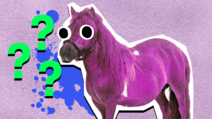 The Ultimate My Little Pony Name Quiz