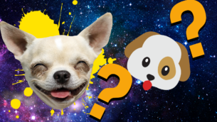 Dog Breed Emoji Quiz: Howl Will You Do?