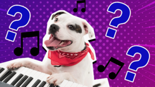 Musical Theatre Trivia Quiz