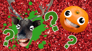 The Really Funny Christmas Quiz!