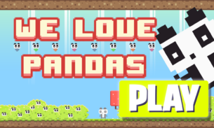 We Love Pandas