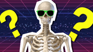 The Ultimate Skeletal System Quiz!