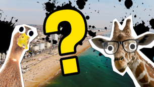 Epic Brighton Quiz: How Much Do You Know?