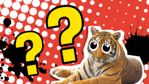 Totally Terrific Tiger Quiz: True or False