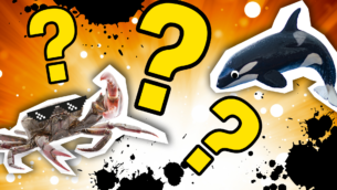 Animal Quiz: True or False, Fish or Fiction?