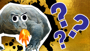 Ultimate Harry Potter and the Goblet of Fire Quotes Quiz!