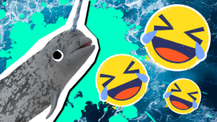 20 Totally Gnarly Narwhal Jokes!