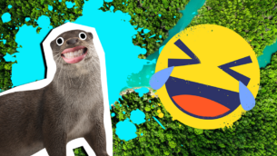 20 Fast-Flowing River Jokes!