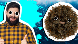 15 Nick Frost Facts You Never Knew!