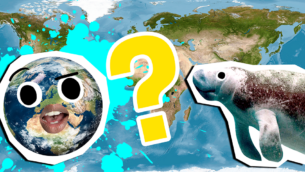Continents and Oceans Quiz