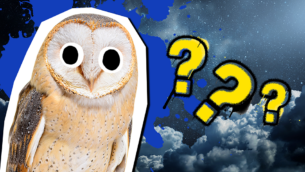 Don't Be Left In The Dark - Try Our Dark Quiz!