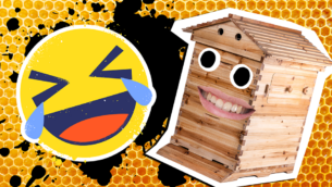 20 Beehive Jokes To Make You Hum With Laughter!