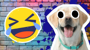 20 Labrador Dog Jokes That Will Get Your Tail Wagging!