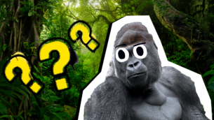 Grandma Jokes & Puns 