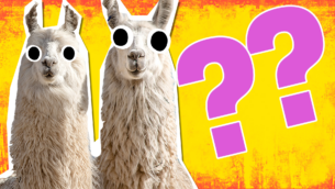 Llama Facts!