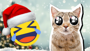 22 Cat Christmas Puns That Are Purr-fect