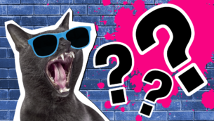 Cat Picture Quiz: Can You Identify These Kitties?