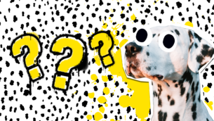 10 Spottily Fun Dalmatian Facts