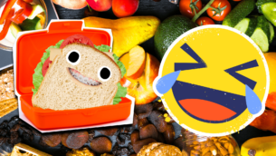 20 Lunch Box Jokes That Are Packed With Laughs
