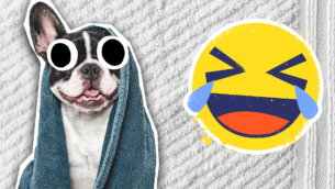 Towel Jokes That Aren't Too Dry